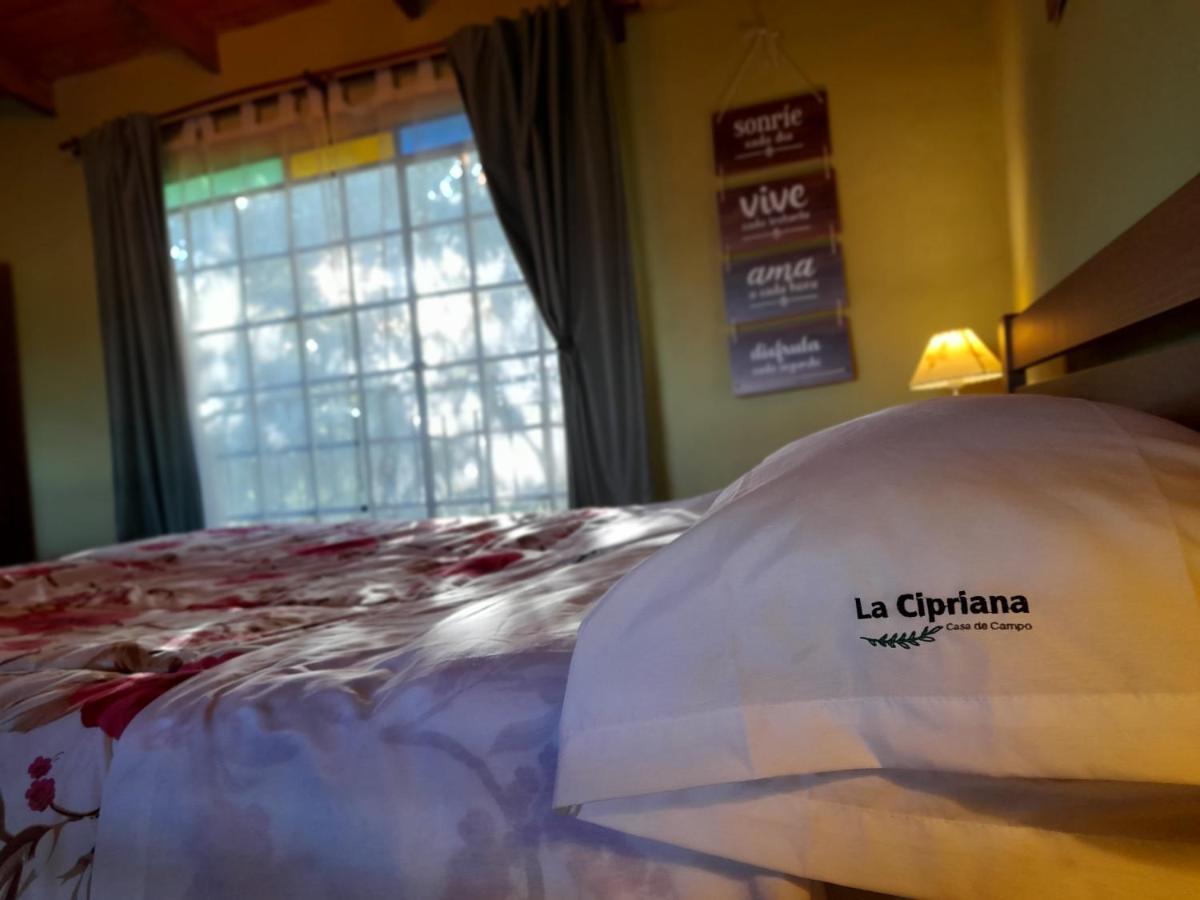 La Cipriana Holiday home