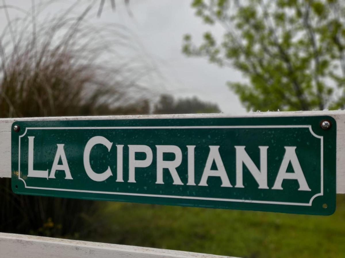 La Cipriana Holiday home