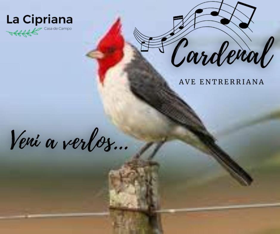 La Cipriana