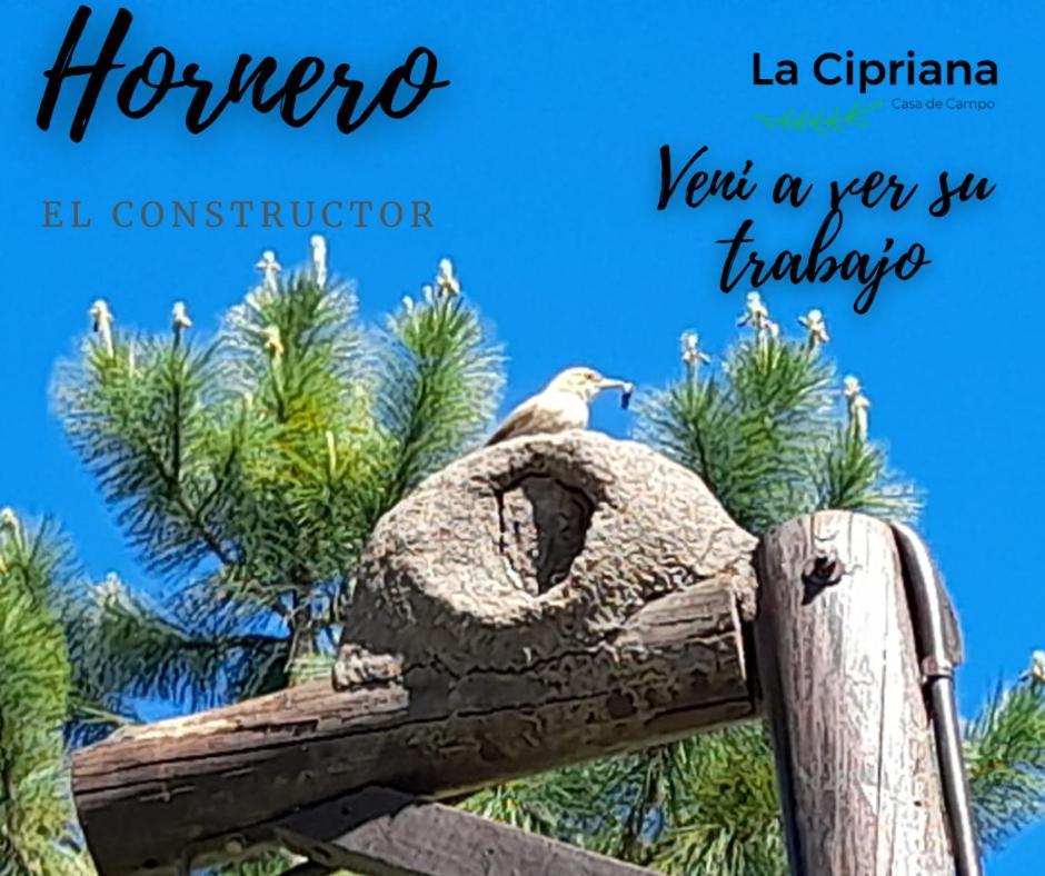 La Cipriana Holiday home *