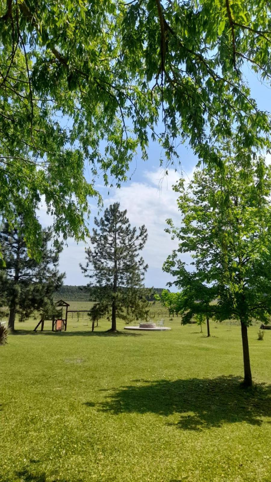 Holiday home La Cipriana