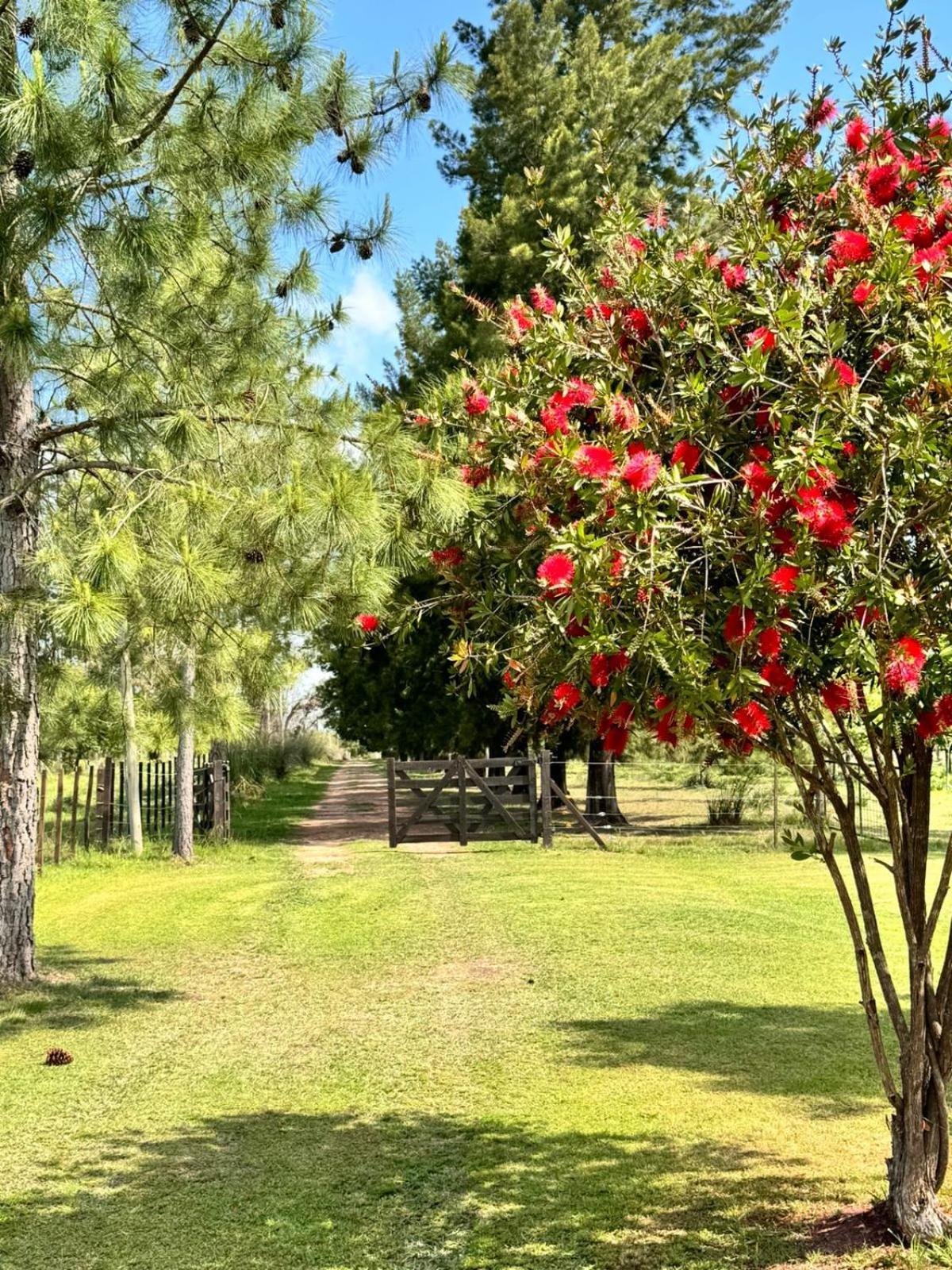 Holiday home La Cipriana